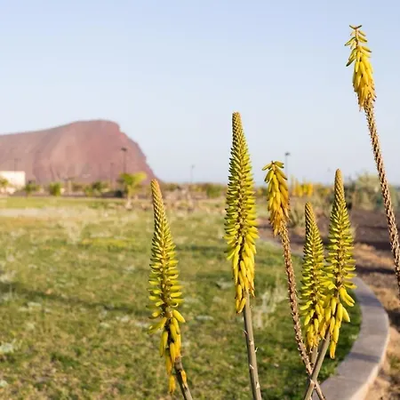 فيستا روجا شقة *