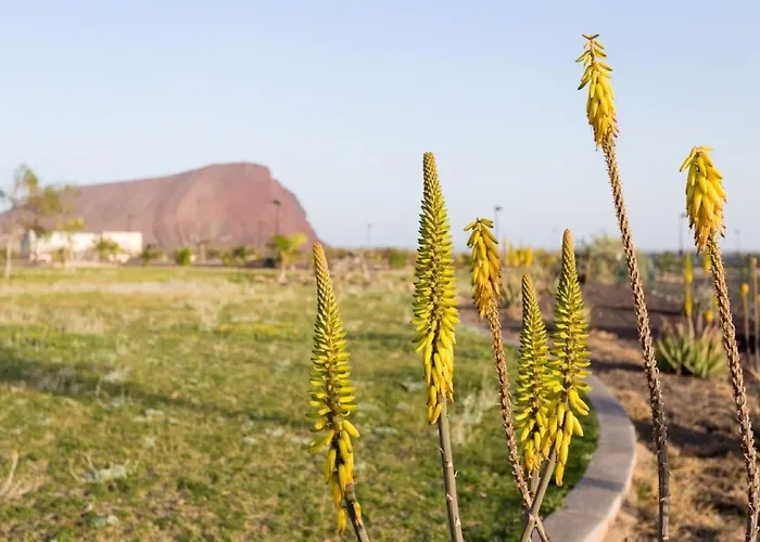 Vista Roja Apartman *